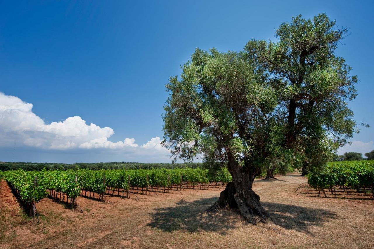 Masseria Le Fabriche Maruggio Buitenkant foto