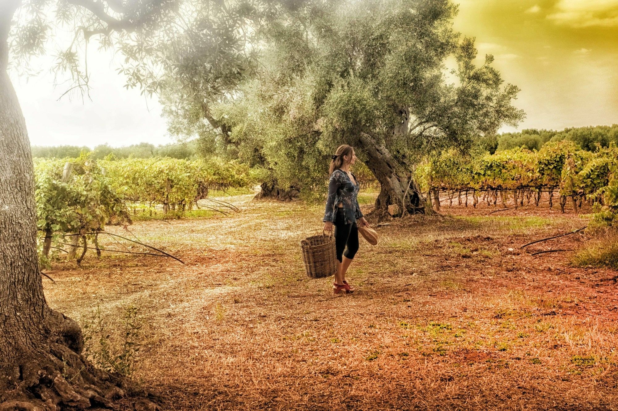 Masseria Le Fabriche Maruggio Buitenkant foto